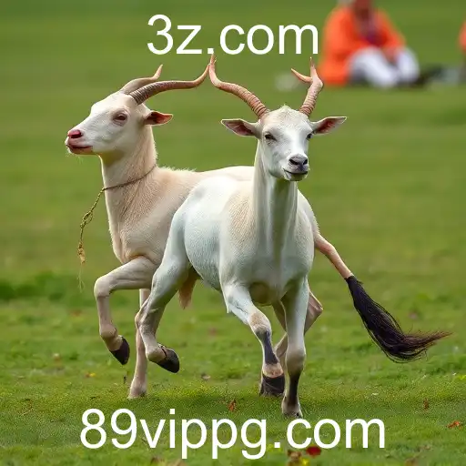 Security and Trust 89vip - International Licenses and Certifications